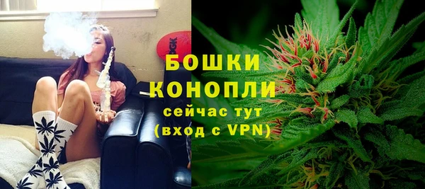 тгк Няндома