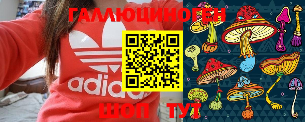 Псилоцибиновые грибы Psilocybine cubensis Дальнереченск