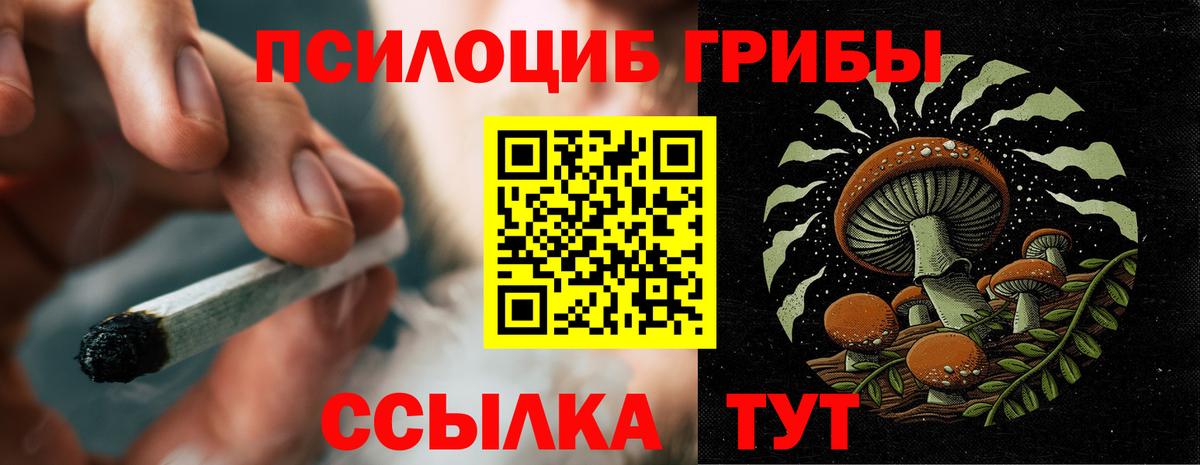 Дальнереченск  Псилоцибиновые грибы MAGIC MUSHROOMS  Псилоцибиновые грибы GOLDEN TEACHER  Вход с VPN 