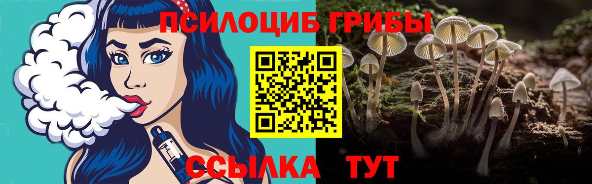 Псилоцибиновые грибы мицелий Дальнереченск